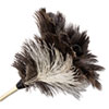 BWK13FD:  Boardwalk® Professional Ostrich Feather Duster