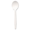 DXEPSM21:  Dixie® Plastic Cutlery