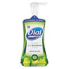 DIA02934CT:  Dial® Professional Antimicrobial Foaming Hand Soap