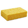 BWKCS2:  Boardwalk® Cellulose Sponge
