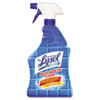 RAC04685CT:  Professional LYSOL® Brand Basin Tub & Tile Cleaner