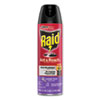 SJN660549:  Raid® Ant & Roach Killer